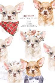 Chihuahua Dog Watercolor Clipart Set Dog Lovers Gift Instant Etsy In 2021 Watercolor Dog Dog Illustration Animal Clipart