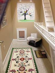 Turn Future Closet Underneath Basement Stairs Into Litter Cat Room Cat Bedroom Cat Room Animal Room