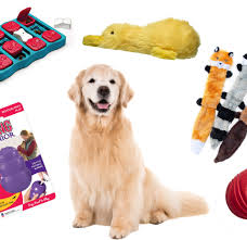 They have to learn how to take plastic puzzle pieces out of the tray to get to the food. Best Toys And Games For Senior Dogs American Kennel Club