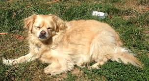 Profile for Bringing in Beauty