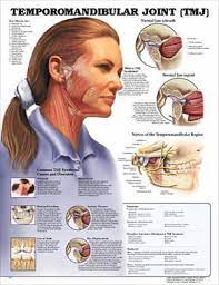 Blog Temporomandibular Joint Disorders Temporomandibular Joint Dental