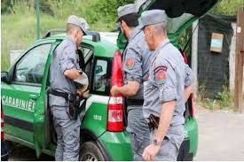 Da tutta italia i camion trasportavano rifiuti da demolizione senza i relativi documenti di carico in una ditta marchigiana. Attivita Dei Carabinieri Forestali A Difesa Dei Boschi E Nella Gestione Del Verde Pubblico Milano Post