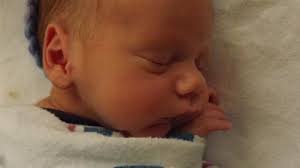 The University of Scranton Class Note Export with Photos