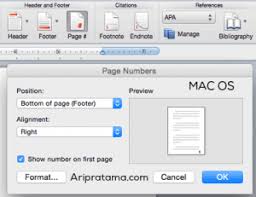 Cara membuat angka romawi dalam word. Cara Membuat Halaman Romawi Dan Angka Aripratama Com