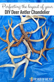How to build your own deer antler chandelier | hunker. Diy Deer Antler Chandelier The Mom Of The Year