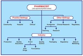 Pin On Career Framework