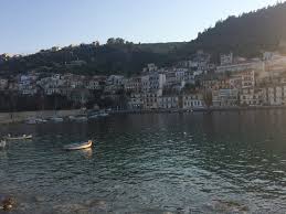 Βρες όλες τις επιχειρήσεις για φαγητό στο σπίτι (delivery) στις πετριές ευβοίας και για κάθε αποτέλεσμα θα βρεις τηλέφωνο, διεύθυνση και οδηγίες δρομολόγησης. H Dhmosiografos Stella A8anasakh Antalla3e Orkoys Agaphs Star Gr