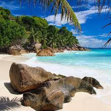 Experience thrilling serengeti game drives and then return to the lodge for a luxurious respite at four seasons safari lodge serengeti, tanzania. African View Lodge Reviews Usa River Tanzania Tripadvisor