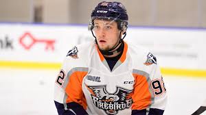 Nu har talangen även presenterat sig på hemmaplan. Post Draft Prospect Profiles Elmer Soderblom No 159 To The Detroit Red Wings Ep Rinkside