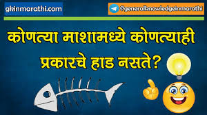 An individual who acts as his own attorney in a case is said to appear in person. General Knowledge Questions And Answers In Marathi Language Current Affairs In Marathi 2021 Youtube