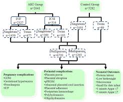 Flow Chart Of Context Diagram In The Study A Ivf Vs