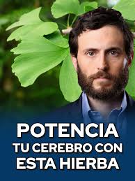 Impacto de la Microbiota Intestinal en la Piel