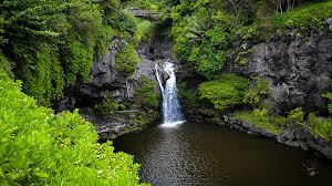 Winding through maui's lush, tropical rainforest, you'll see everything from black sand beaches and. Top 15 Road To Hana Places To Stop The Best Hana Stops