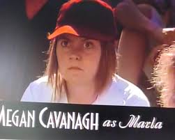 A League of Their Own, a short-lived television series based