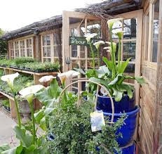 The Boma Garden Centre Kentish Town Garden Center London Places London Garden