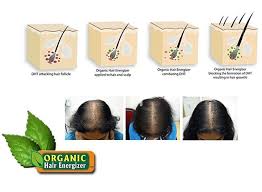 Protein is important to strengthen hair and promote growth. Organic Hair Loss Treatment Systems Posts Facebook