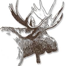 Nearly everyone wants to live in their own dream house, but not everyone has enough money or a suitable place to make their dreams come true. Moose S Photographic Adventures Moose Peterson S Website