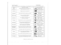 Maybe you would like to learn more about one of these? Animal Cell And Plant Cell Characteristics Cell Facts All Living Things Are Composed Of Cells Cells Are The Basic Unit Of Structure And Function Of Ppt Download