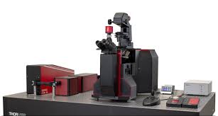 It is an intricate procedure why does it take so long? Veneto Inverted Microscopes