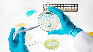 שמעו ח'ברה איזה ימים משונים אה? Pharma Giant Pfizer Pulls Out Of Research Into Alzheimer S Bbc News