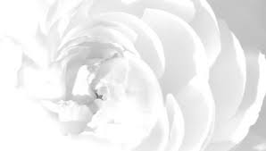 We did not find results for: Nilai Putih Psikologi Dan Ciri Ciri Apa Pakaian Wanita Melambangkan