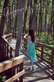Margaret Louise Park Photoshoot Fashion Nature Woods I Love The Idea Of Doing A Photo Shoot In The Woods Like This Photography Photography Shot Photoshoot