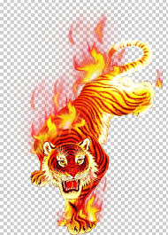 Available in a range of colours and styles for men, women, and everyone. T Shirt Fire Flame Png Clipart Art Burning Carbon Fire Charcoal Fire Color Free Png Download