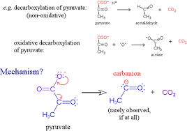 Oxidative Decarboxylation Of Pyruvic Acid Results In The Formation Ofi.  Acetyl Co Aii. Co 2Iii. Atpiv. N Adh + H +Select The Correct Answer Using  The Codes Given Belowa. Only Ib. Iii