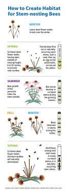 Though bee houses help many of missouri's native solitary bees, white notes a bee house can't replace the critical need bees have for flowering native plants. Natives For Pollinators Grow Native
