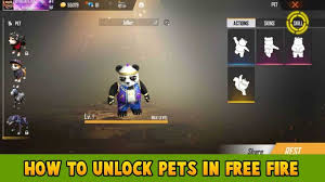 Follow the steps mentioned below for unlocking all most popular gaming streamers organise giveaways to gain their popularity and subscribers. How To Get Free Pet In Free Fire Pointofgamer