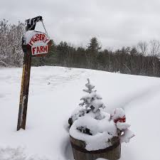 Check spelling or type a new query. Pigbery Christmas Tree Farm Home Facebook