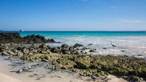 Tripadvisor has 71,694 reviews of galapagos islands hotels, attractions, and restaurants making it your best galapagos islands resource. Galapagos Island Hopping With Quito In Ecuador South America G Adventures