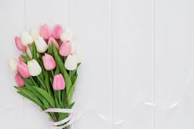 Download Lovely Bouquet Of Pink And White Tulips On White Wooden Background For Free Birthday Background Wallpaper Pink And White Background White Tulips