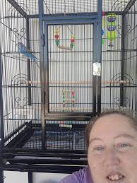 Hi my name is bluey and this is my human mum