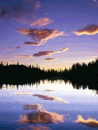 Tons of awesome animated nature wallpapers to download for free. 23 Animated Nature Mobile Wallpaper Orochi Wallpaper