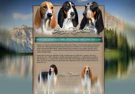 Image result for jurský honič