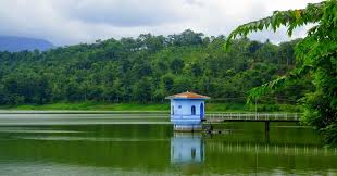 Berbagivideoindonesia 72.258 views3 months ago. Gunung Rowo Bergoyang Gunung Rowo Youtube Berbagivideoindonesia 43 903 Views11 Days Ago Gardner Robyn