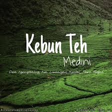 Kebun teh medini menjadi obyek wisata alam terbaru di kabupaten kendal dengan sajian instagenic untuk liburan keluarga. Kebun Teh Medini Tak Terlalu Jauh Optik B Riski Boja Facebook