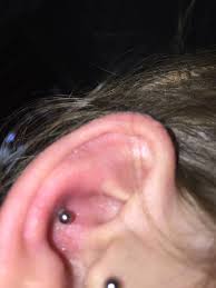 18Ct Textured Gold Conch Hoop – Wild Fawn Jewellery