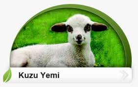 Besyem Besi Yemi Hayvan Yemi Sut Yemi Tavuk Yemi Hayvan