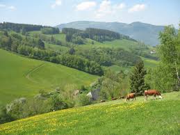 Последние твиты от labbeduddel (@labbeduddl). Freiburg Schwarzwald De Badisch Deutsch Ubersetzungen