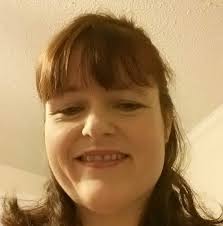 How do you dismantle and rebuild your LEGO sets?