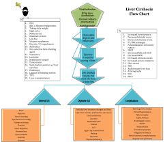 Liver Cirrhosis Flow Chart Concept Map Nursing Viral