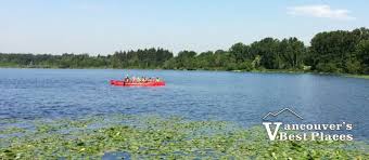 Deer lake is a town in the western part of the island of newfoundland in the province of newfoundland and labrador, canada. Burnaby S Deer Lake Park Vancouver S Best Places