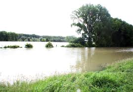 Hochwasser in altrip und umgebung im juli 1999. Pegel Maxau Als Vorbote Fur Pfalz Achtung Hochwasser Die Gefahren Des Rheins Frankenthal