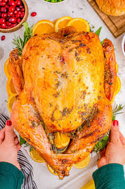 Image result for roasted turkey