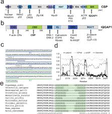 Big box stores such as home depot and lowes carry them, and you'll find many on amazon as well. Interaction Between The Scaffold Proteins Cbp By Iqgap1 Provides An Interface Between Gene Expression And Cytoskeletal Activity Scientific Reports
