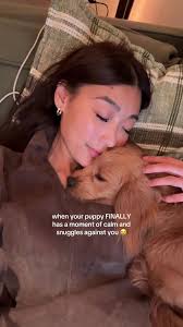 Carolyn Chen (@carolynjxchen)