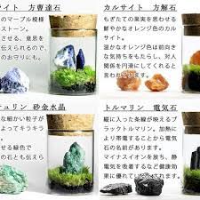 苔のミニミニテラリウム 鉱物と苔 ミニテラリウム 苔 鉱物