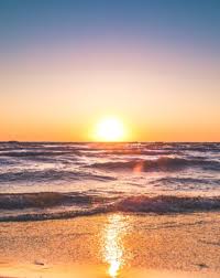 Judy D. Cottingham (1943-2023)